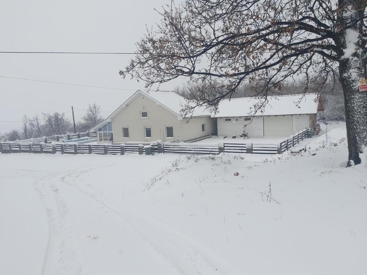 Vila Boba Bor Zlot Екстер'єр фото