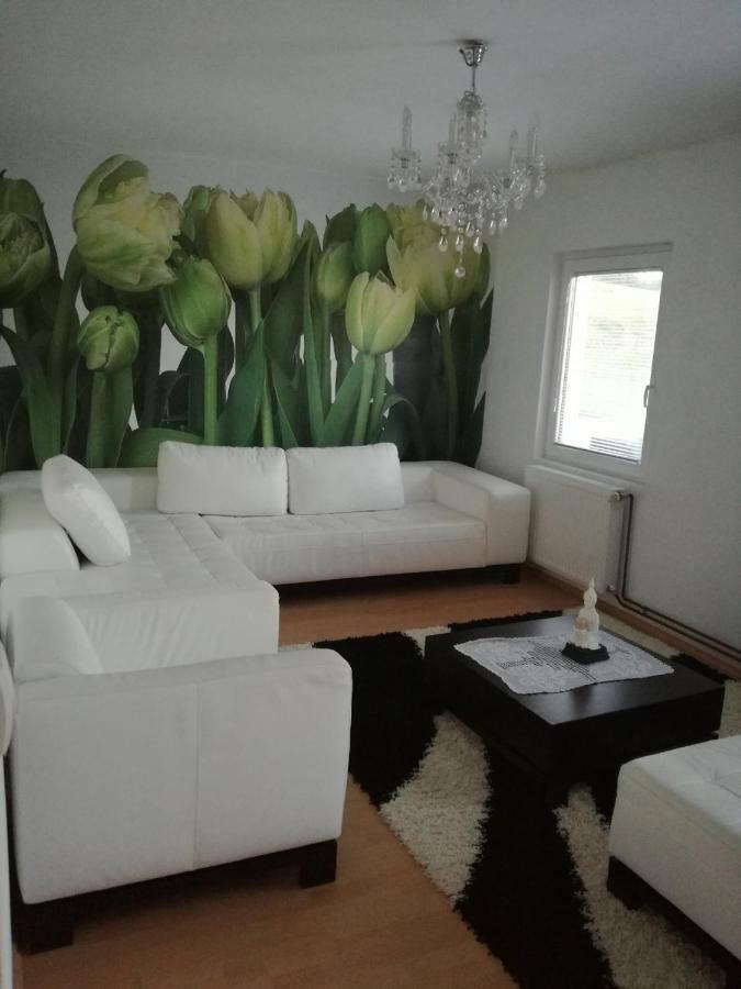 Vila Boba Bor Zlot Екстер'єр фото